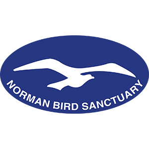 logo of Norman Bird Sanctuary: blue oval with a white silhoutte of a bird in flight with the words "Norman Bird Sanctuary" below